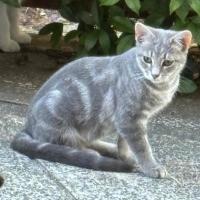 Photo of Hugh And Imogen 