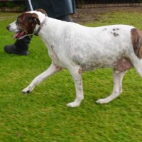 Photo of Percy