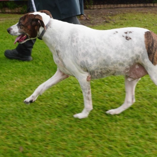 Photo of Percy