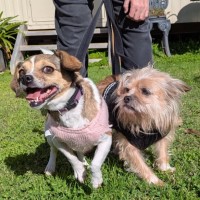 Photo of Rhonda & Minnie