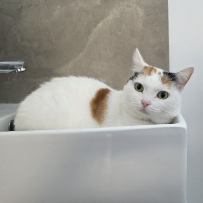 Photo of Cleopatra 👑