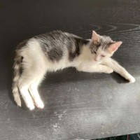 Photo of Naruto