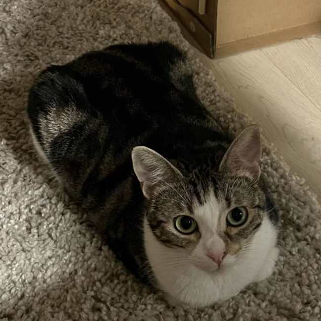 Photo of Penny & Cali💗