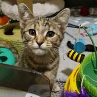 Photo of Maisy