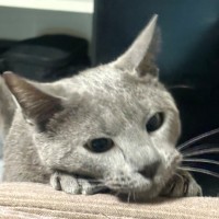 Photo of Nikolai 😻🧵🧶