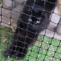 Photo of Smoochy