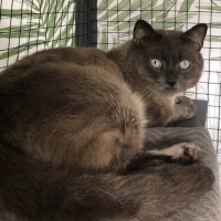 Photo of Harold 😎💙