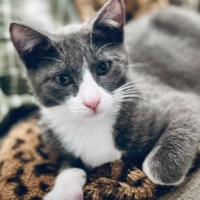Photo of Dr Meredith Grey