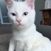 Photo of Pippi