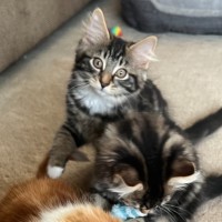 Photo of Stormie & Stella 💙🌷