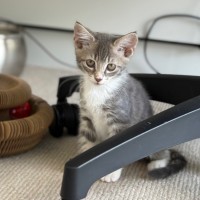 Photo of Kat