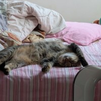 Photo of Rizzo
