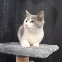 Photo of Stormy