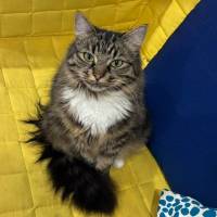 Photo of Mary Somerville