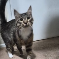 Photo of Jewel