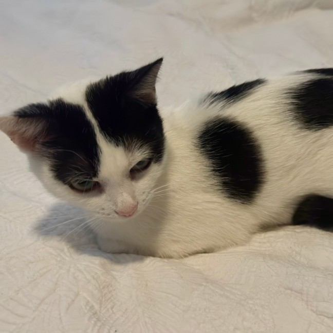 Photo of Ariana Grande