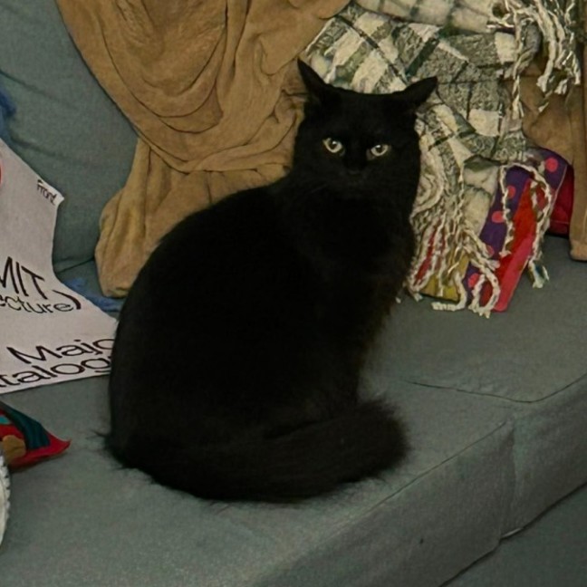 Photo of Inky