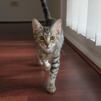 Photo of Betty Lou