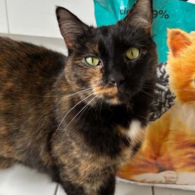 Photo of Lucy