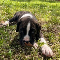 Photo of Clam Chowder