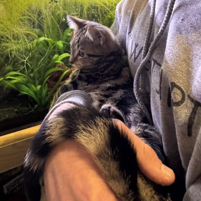 Photo of Mac   Located In Preston