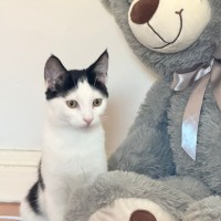 Photo of Archie