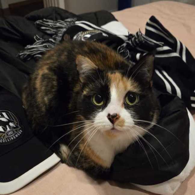 Photo of Lily