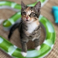 Photo of 💚 Charlee 💚