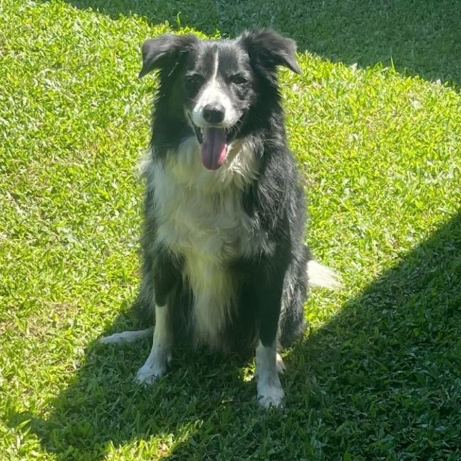 Photo of Quinn
