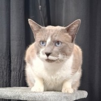 Photo of Patches