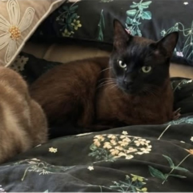 Photo of Milo And Max