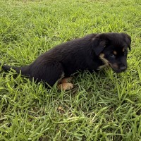 Photo of Delta