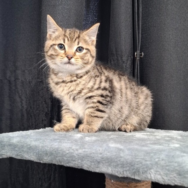 Photo of Ralph