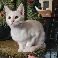 Photo of Bianca