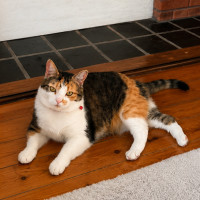 Photo of Zoe
