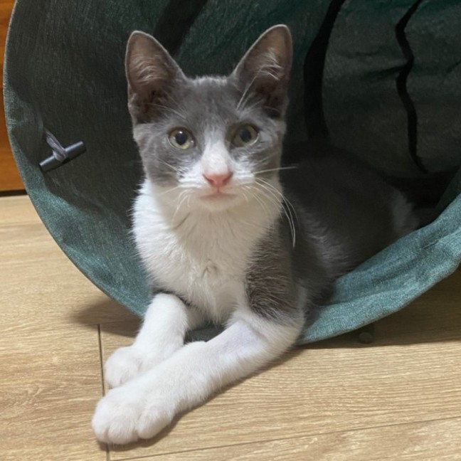 Photo of Ripley