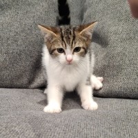 Photo of Georgie