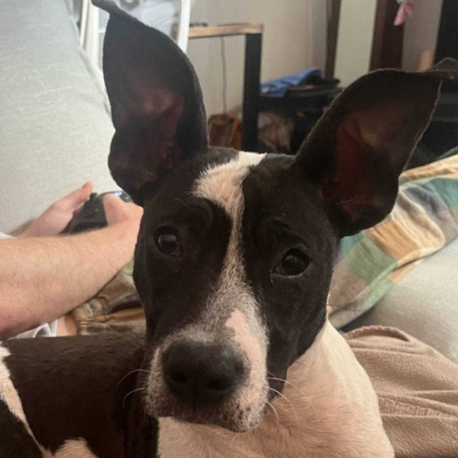 Photo of Zora 