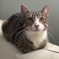 Photo of Normie 💙