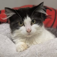 Photo of 🦄 Puurl 6332 🦄