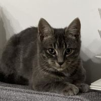 Photo of Georgia