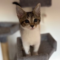 Photo of Louie 🐾🥳💙💙