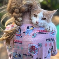 Photo of Cooper 💙🐾😺