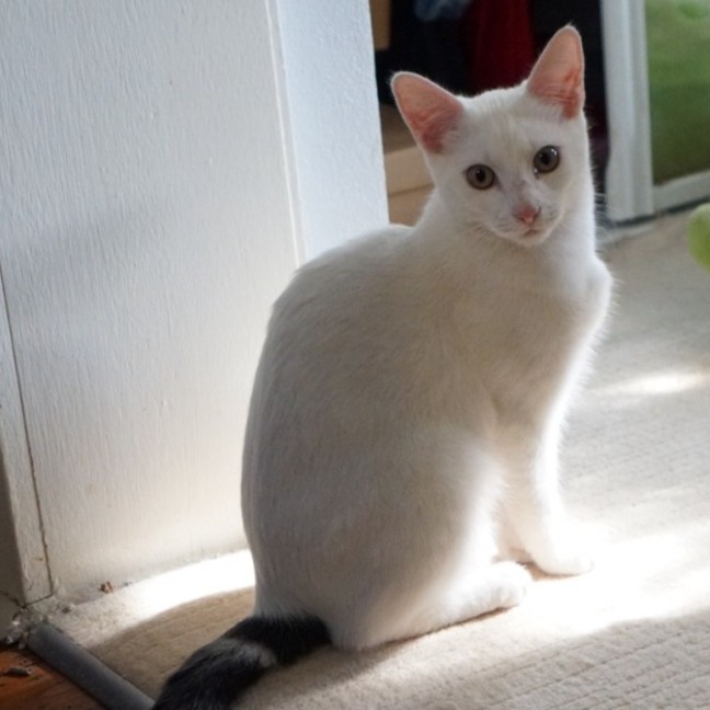 Photo of Lumi