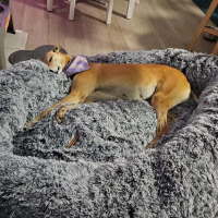Photo of Sandy Girl 