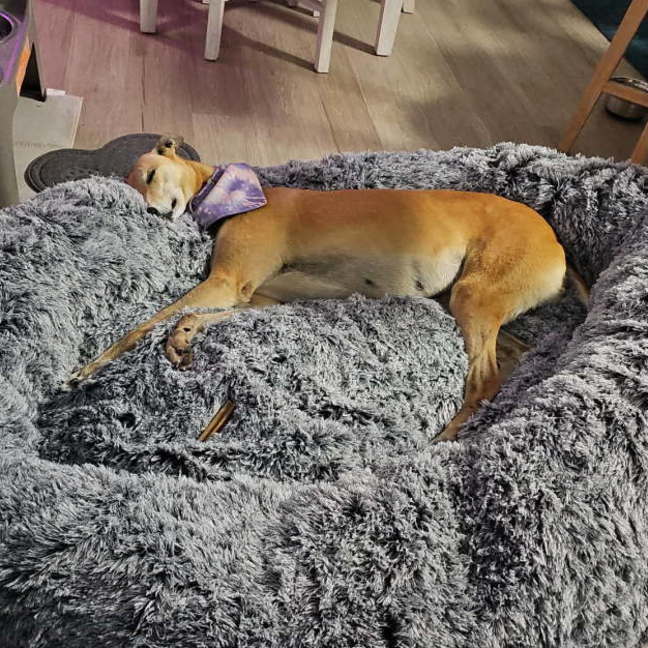 Photo of Sandy Girl 