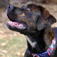 Photo of Zelda