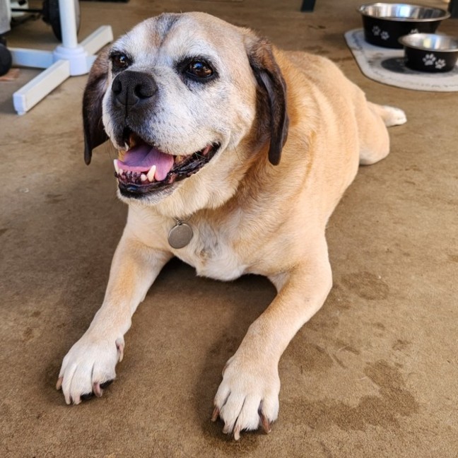Photo of Cash