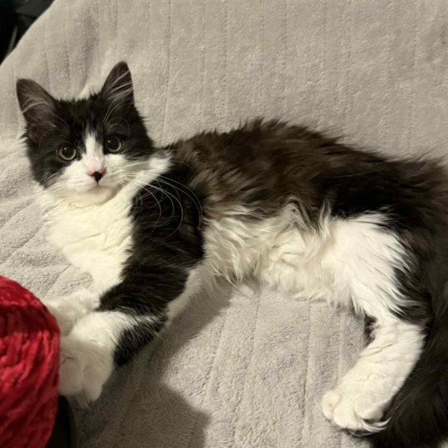 Photo of Milly 🌷🌷