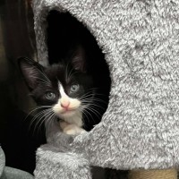 Photo of Ruby